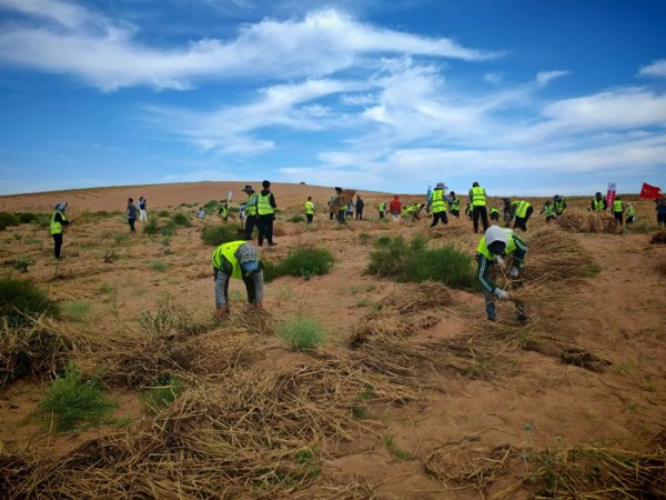 股票配资的正规平台 内蒙古二连浩特市总工会开展2025年“三北”工程防沙治沙劳动竞赛