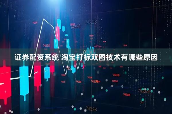 证券配资系统 淘宝打标双图技术有哪些原因