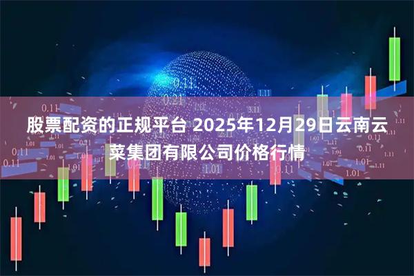股票配资的正规平台 2025年12月29日云南云菜集团有限公司价格行情